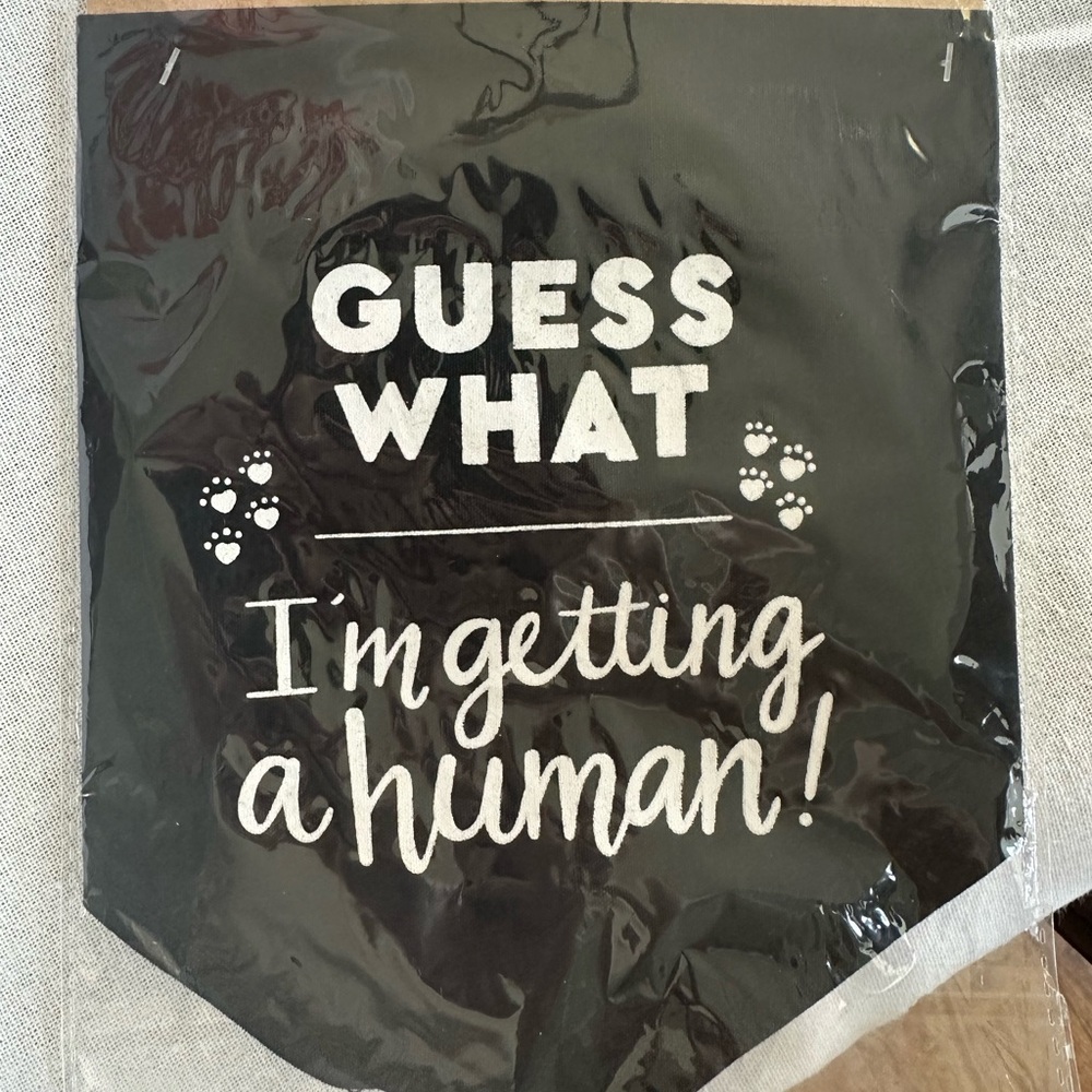 Black Pet Bandana with Fun Text
